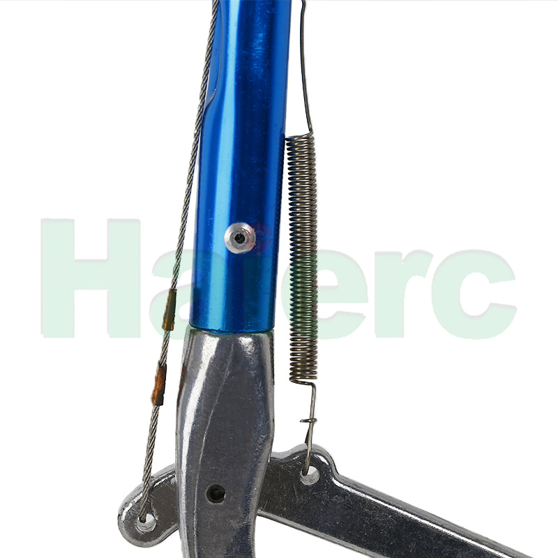HC3101 (7).jpg
