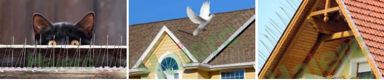 anti bird spikes (1)