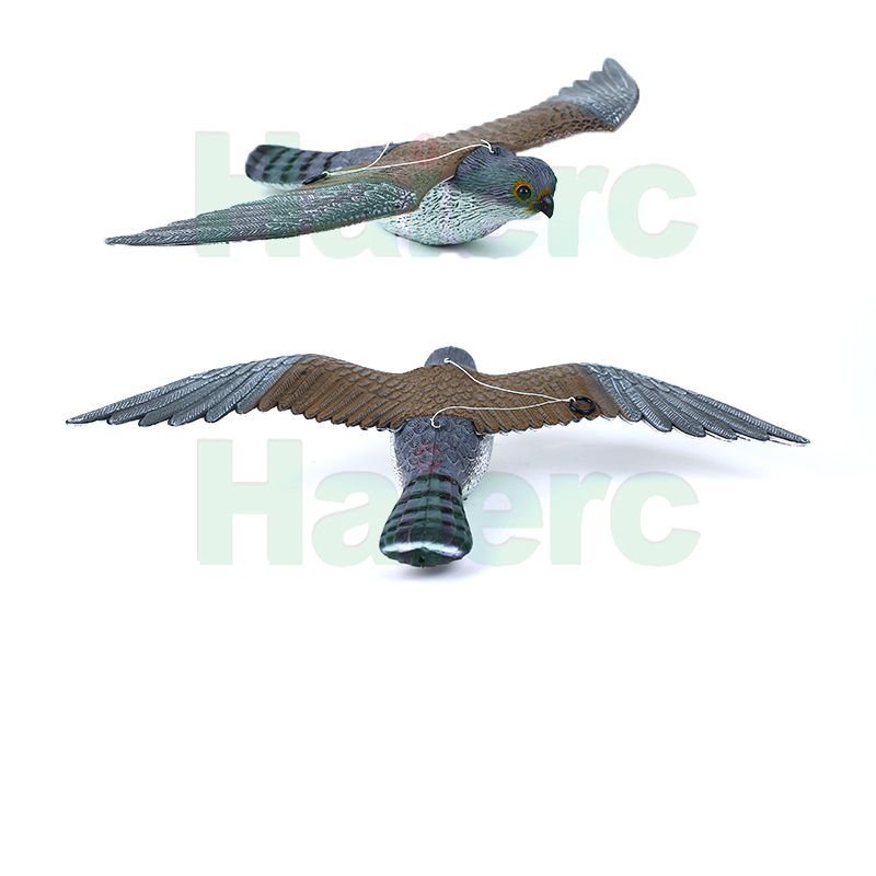 HC1603 (05)