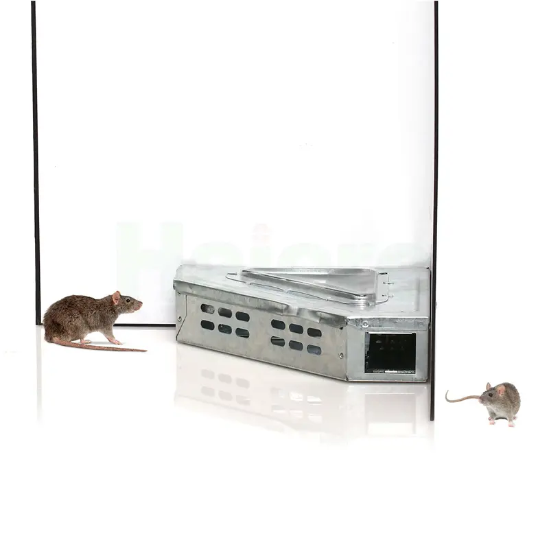 HC2504 (6).jpg