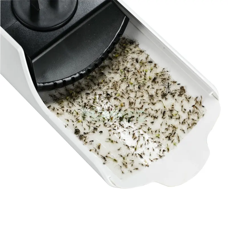 Fly lamp (3).jpg