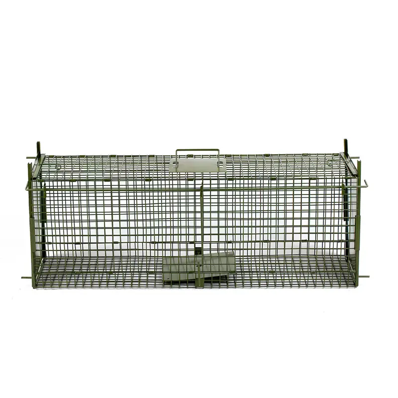 HC2613 (9)