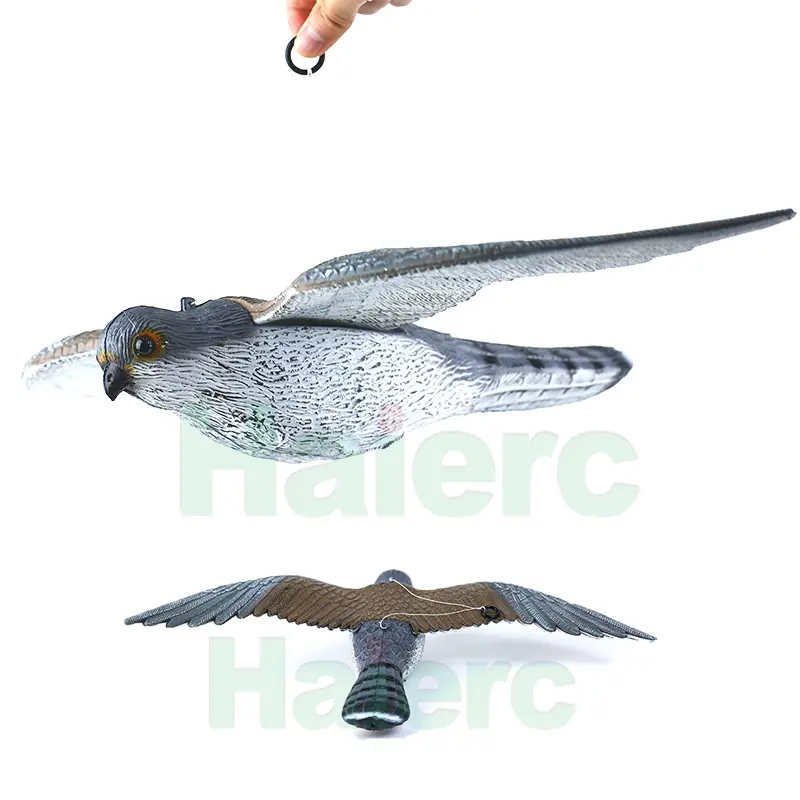 HC1603 (07)