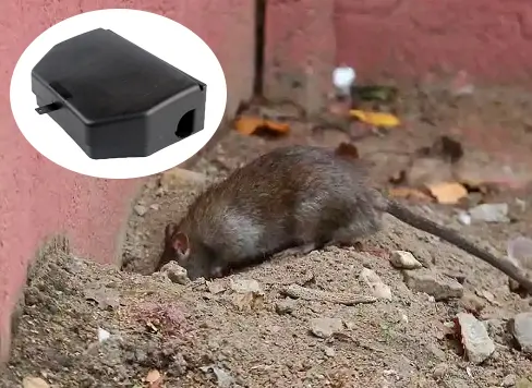 NEW PRODUCT RELEASE: PREMIUM PLASTIC RATTRAP BAIT STATION