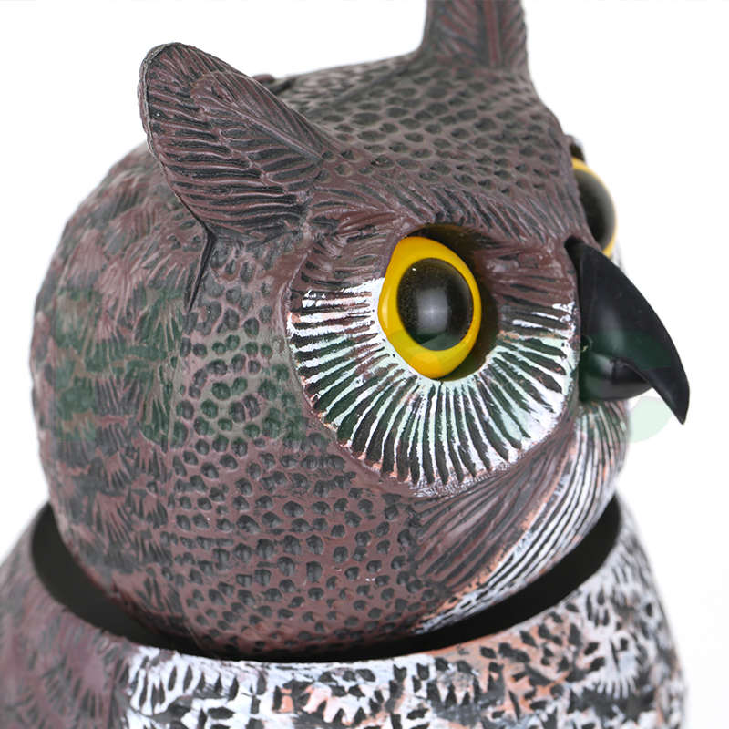Owl Bird Control (11).jpg