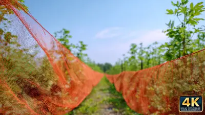 Benefits of Using the Best Bird Net for Sustainable Agriculture Solutions