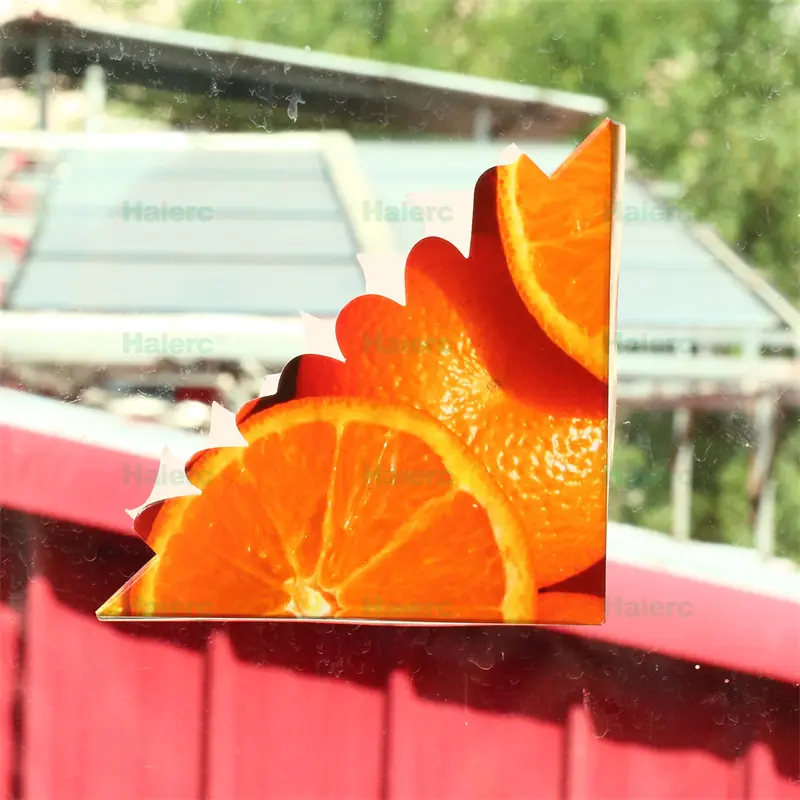 insect glue trap (9)