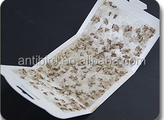 moth trap HC4302 (3)bcm