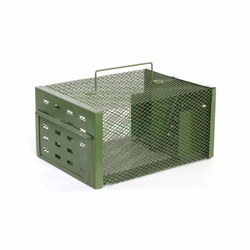 HC2601L (1).jpg