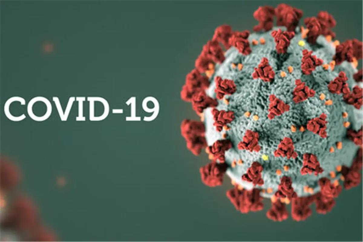 15bkv