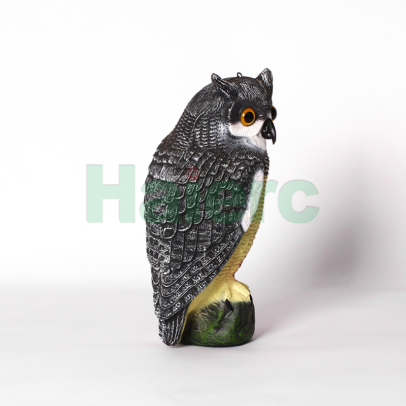 HC1601F (4)