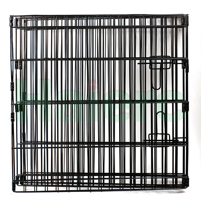 PP2424 (8).jpg